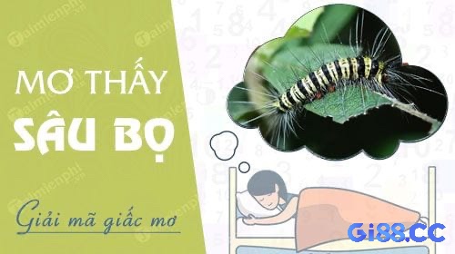 Mơ thấy con sâu cho thấy sự thay đổi và phát triển đầy thành công 