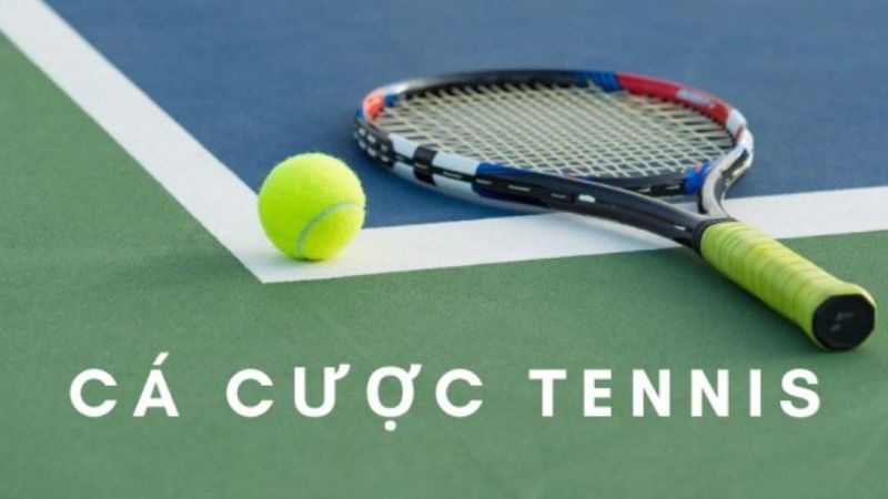 Cá cược Tennis là gì? Kiến thức quan trọng Bet thủ cần biết