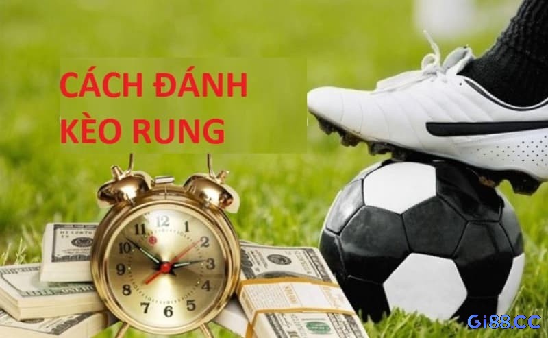 Những kinh nghiệm đáng chú ý để có thể bắt kèo rung một cách hiệu quả và dễ dàng