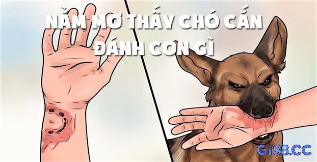 Chiêm bao nằm ngủ mơ thấy chó cắn tay đánh đề con gì may mắn cho anh em lô thủ