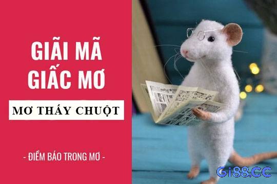 Giải mã giấc ngủ nằm mơ thấy chuột đánh con đề gì