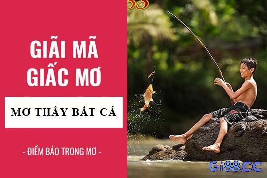 Bắt nhiều cá xuất hiện trong giấc mơ có lẽ là điềm báo cho sự sung túc.