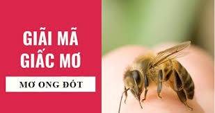 Mơ thấy bị ong đốt đánh đề con gì? Khám phá con số may mắn