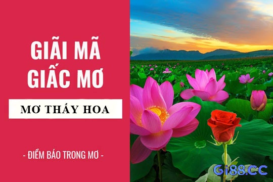 Gi88 sẽ giúp bạn biết bạn mơ thấy bó hoa đánh đề con gì nhé!