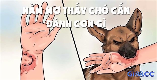 Khám phá điềm báo của giấc mơ thấy chó cắn thì đánh đề con gì cho anh em nhé