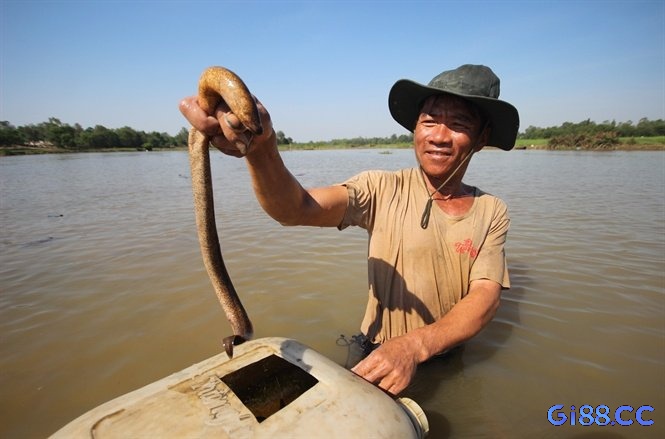 Mơ bắt lươn thể hiện sự chấp nhận những điều mới mẻ và điều chỉnh bản thân