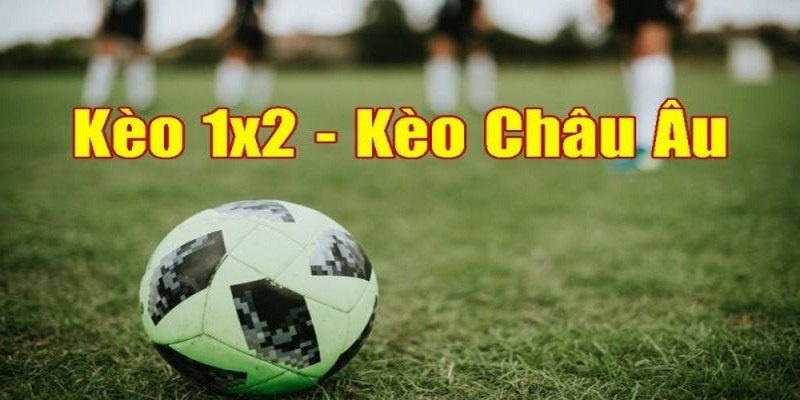 Kèo Châu Âu là gì? Kinh nghiệm chơi kèo Châu Âu hiệu quả